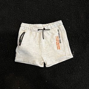 Zara shorts